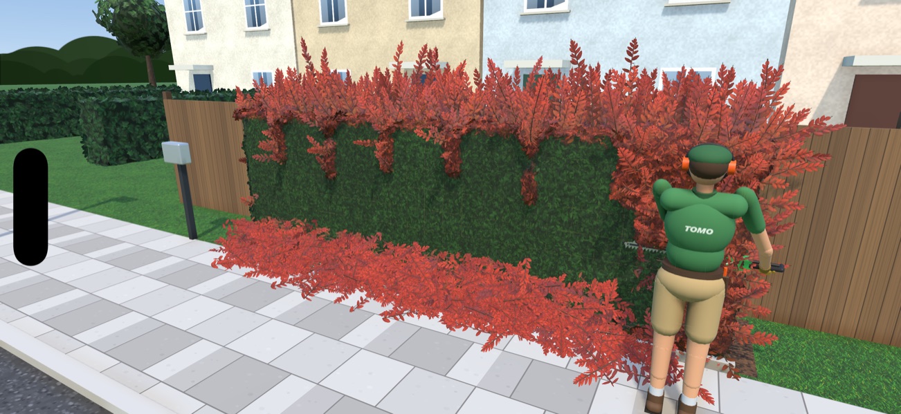 Screenshot: Photinia: bright red new growth over dark green foliage